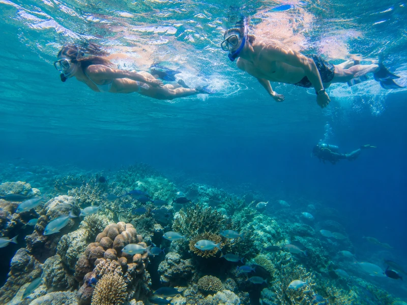 Snorkel at Cancun scuba diving